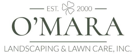 461987821_1083323437126795_8808316322910955711_n